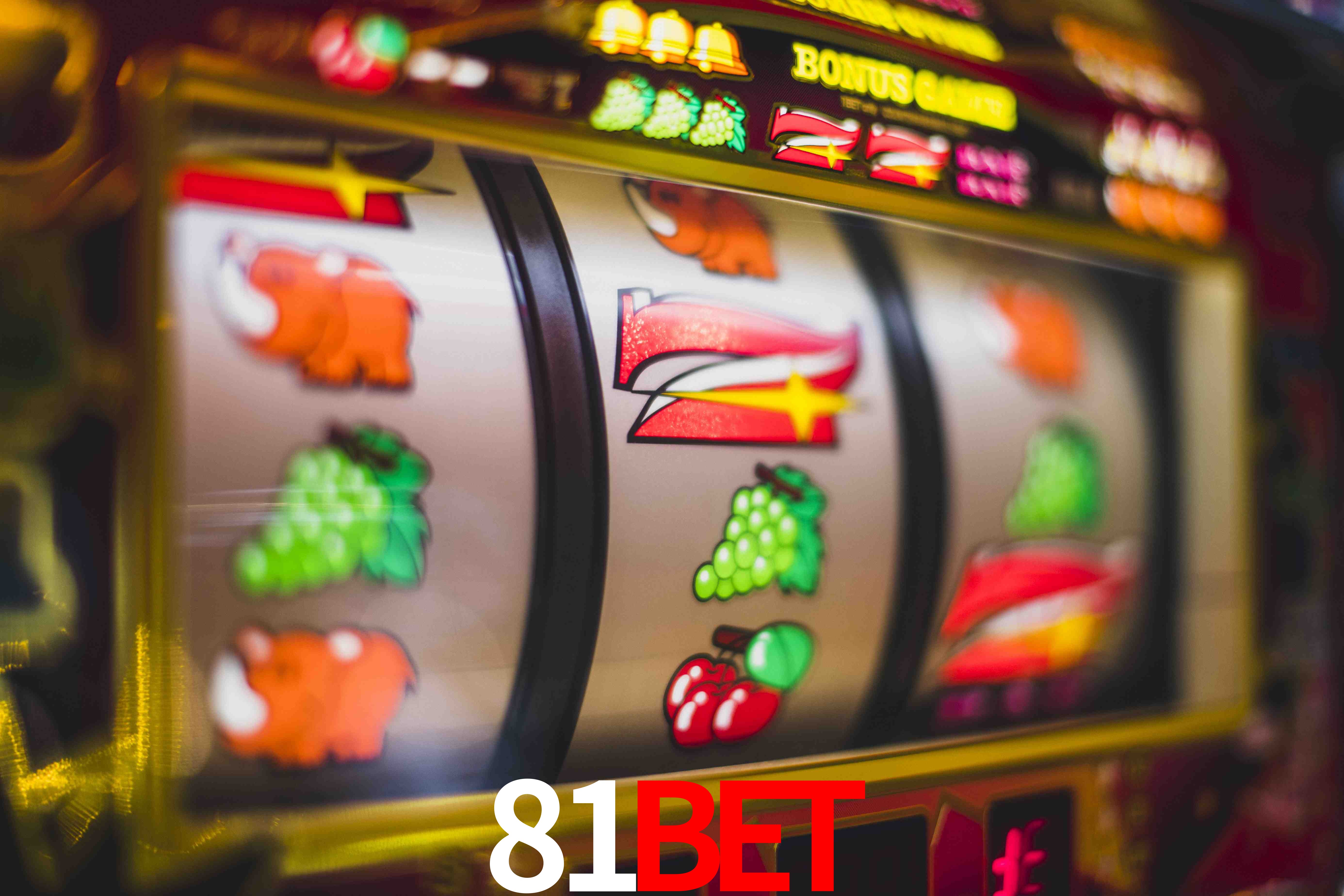 Basketball Betting 81BET